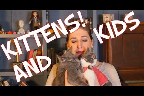 Kittens and Kids | Mayim Bialik