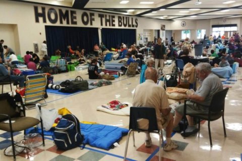 Gimme shelter: In hiding from Hurricane Irma, memories of war and human kindness
