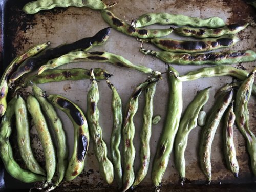 Charred fava beans