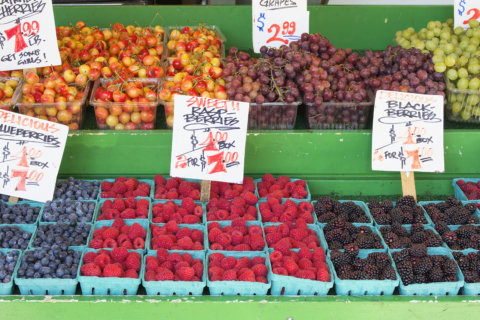 6 tips for getting the best farmers market haul
