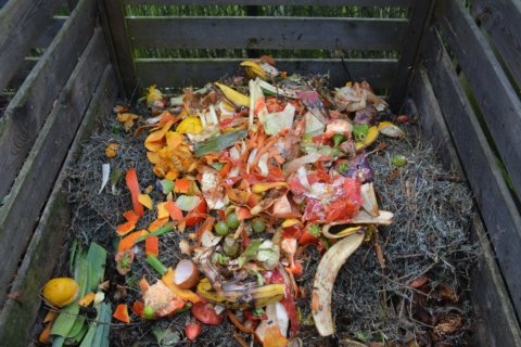 Composting 101: Up your ‘reuse, reduce, recycle’ game