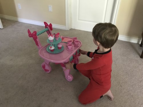Tonilyn's Hornung son playing with a tea set