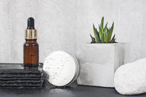 Succulent-based beauty products we love
