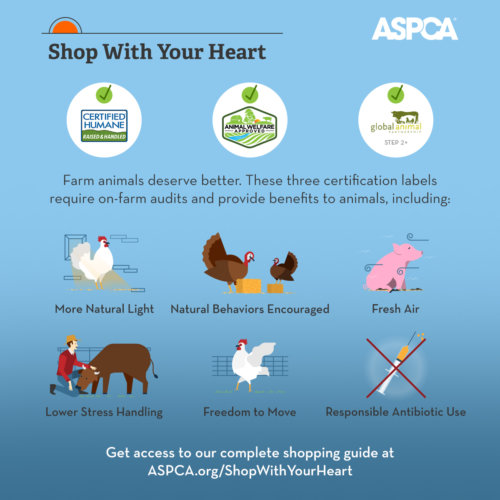 ASPCA infographic