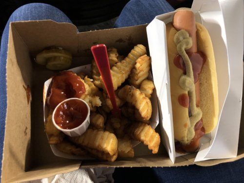 Vegan hot dog and crinkle cut fries