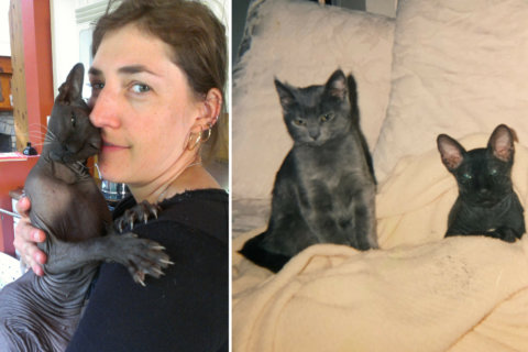 Mayim recalls the grief that comes with a pet’s death