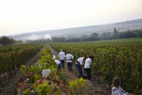 Moldova wine harvesting for over 5,000 years.