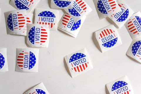 Question of the week: What’s your favorite voting memory?