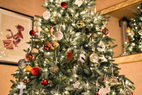 Question of the week: Do you prefer a fake or real Christmas tree?