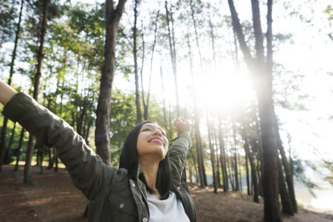 My experience with Shinrin-yoku, aka forest bathing therapy